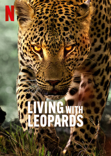 دانلود مستند زندگی با پلنگ ها Living with Leopards 2024
