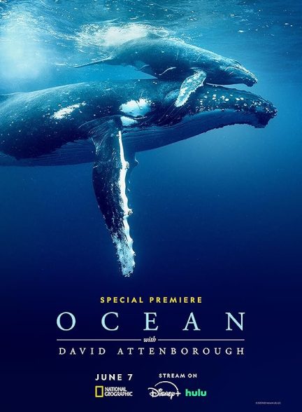 دانلود فیلم Ocean with David Attenborough 2025 اقیانوس با دیوید اتنبرو با دوبله فارسی